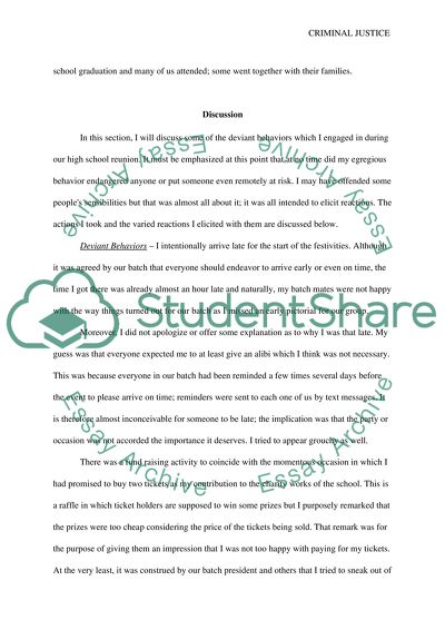 Criminal Justice Experiential Paper