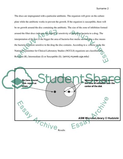 The Effects of Antibiotics