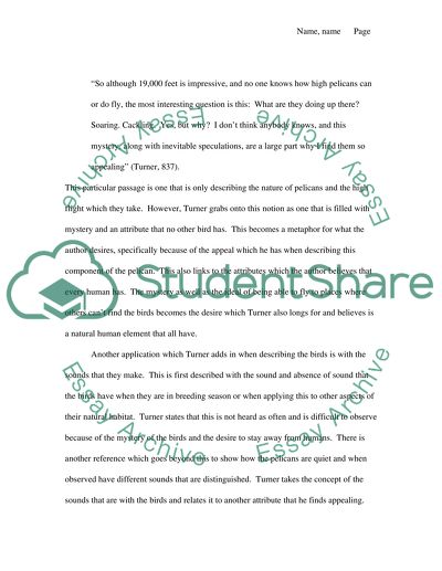 The Unification of Nature and Man in Jack Turners Metaphor of Pelicans