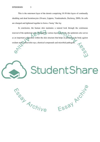 Layers and Cells of the Epidermis