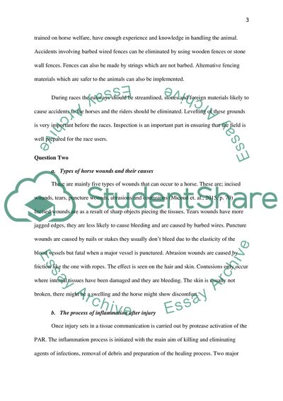 Equine Health Management