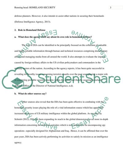 Homeland Security Agencies Issues