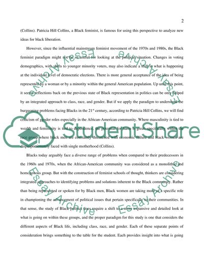 Paradigm of black politics