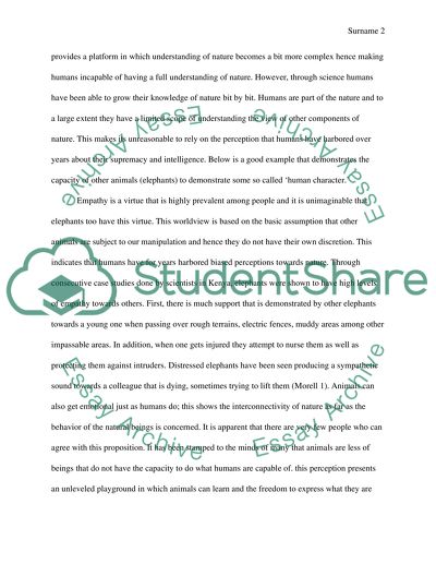 Perception Of Nature