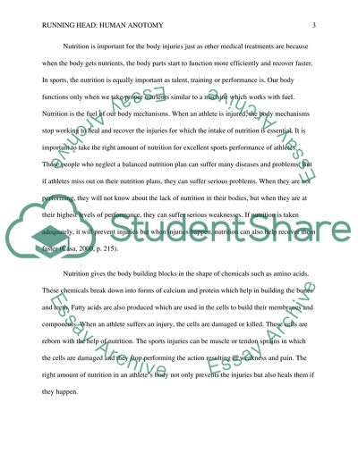 Sports Nutrition for Athletes