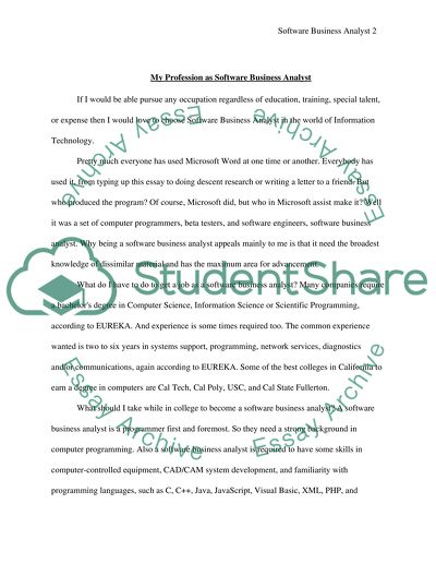 Software Business Analyst