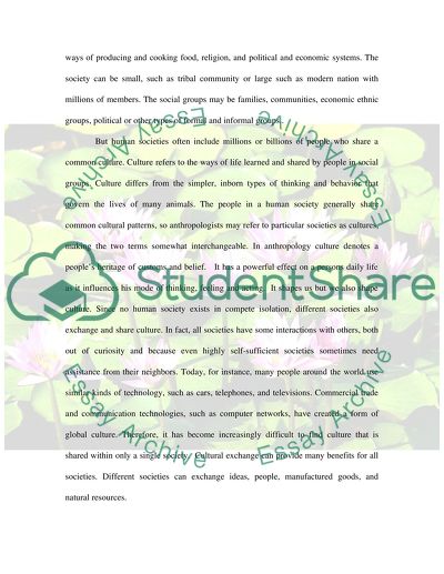 Small Places, Large Issues: An Introduction to Social and Cultural Anthropology