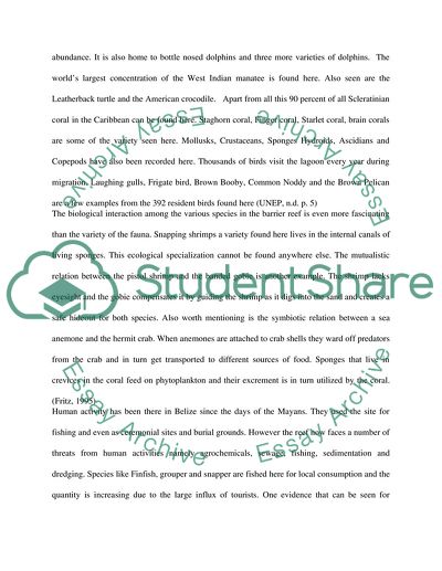 The Diversity of Life in the Barrier Reef in Belize