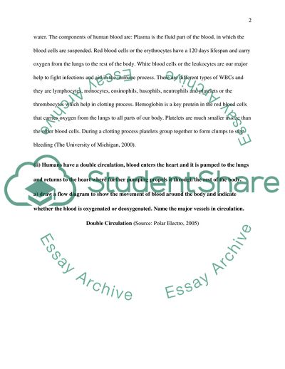 Heart Dissection Process
