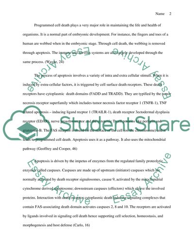 Cell Death - Microtubules in Apoptosis