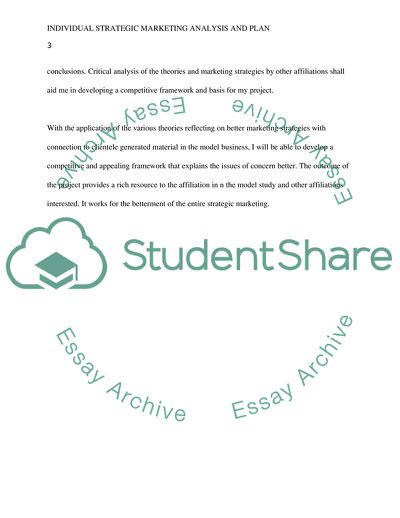 Individual Strategic Marketing Analysis and Plan