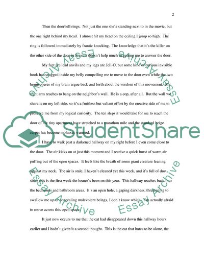 The Neighbours Cat Story