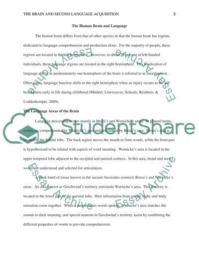 The Human Brain and Language