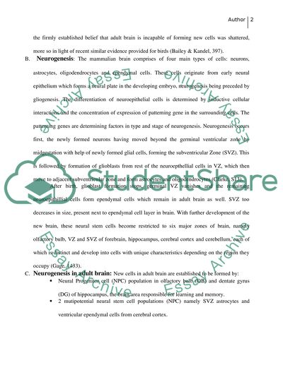 Newly formed (daily formed) brain cells