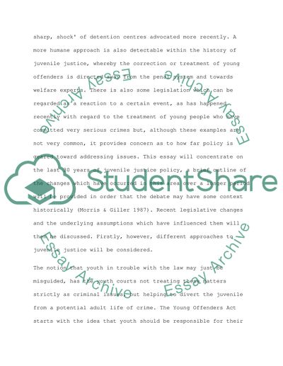 Juvenile justice essay