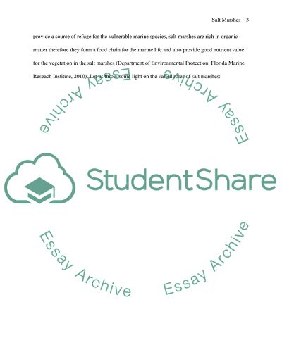 The role of salt marshes in the coastal system