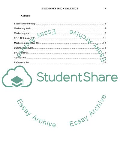 Marketing Audit and Business Lifecycle of General Motors Company