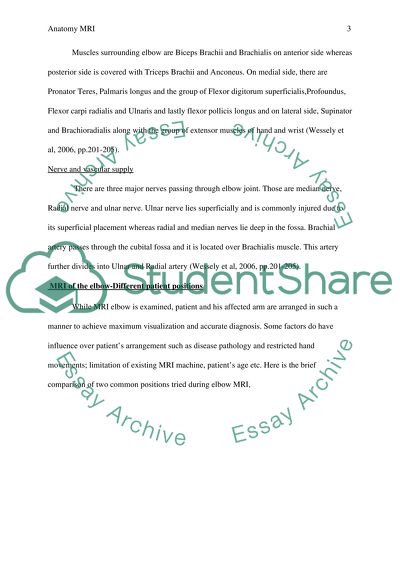 Anatomy Magnetic Resonance Imaging