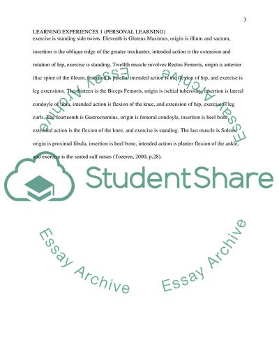 Learning Experiences 1 (Personal Training)