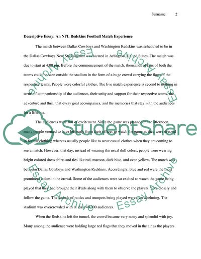 An NFL Redskins Football Match Experience