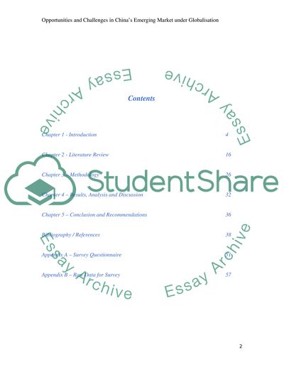 Opportunities and Challenges in Chinas Emerging Market under Globalisation