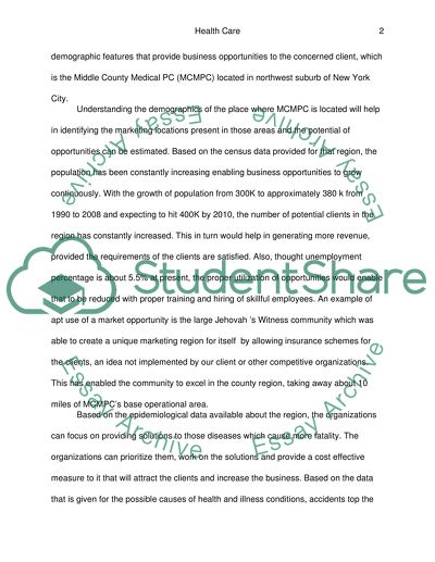 Writting health care business paper