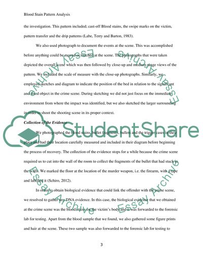 Bloodstain : the Crime Scene