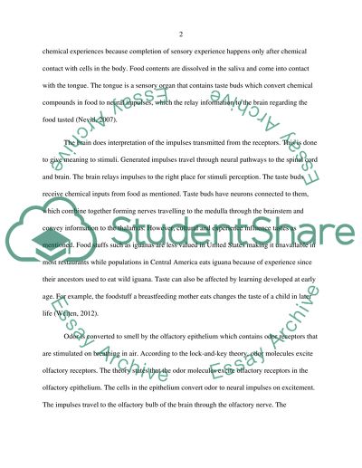 Factors Determining Product Experience