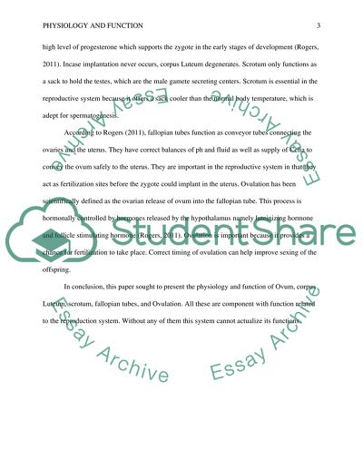 Reproductive System Components, Physiology and Function
