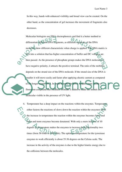 PRATICAL WORKSHEETS