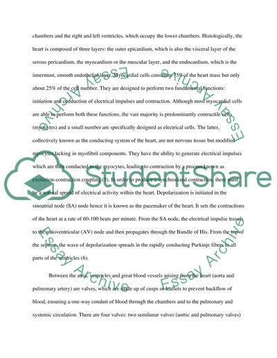 Anesthetic Management of the Patient with Aortic Stenosis