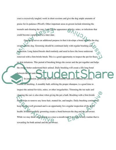 Process Explanation -Dog Grooming