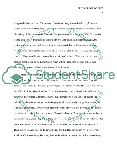 Models of Describing Sustainability of Ecology of Bees