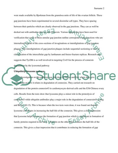 Connexin Degradation