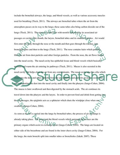 Respiratory: Human Physiology and Anatomy
