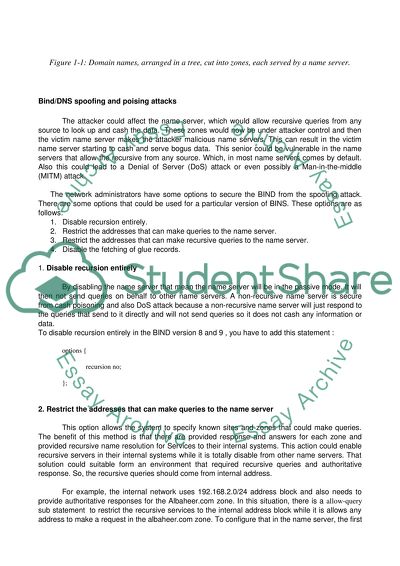 Berkeley Internet Name Domain Spoofing Attack