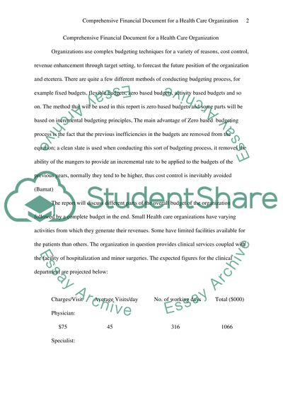 Comprehensive financial document for a small health care organization