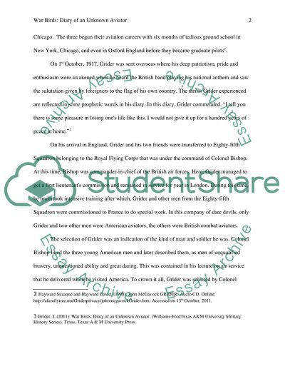 Warbirds: Diary of an Unknown Aviator