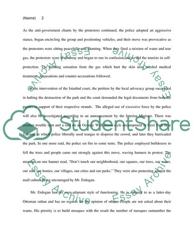 Peaceful Protest Over Istanbul Park Turns Violent as Police Crack Down