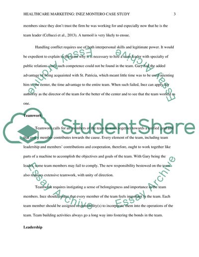 Healthcare Marketing; Inez Montero Case