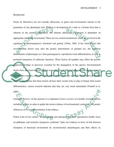Development of Reproductive System in the Fetus: Genetic, Endocrine and Environmental Factors