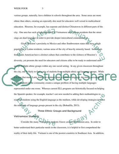 Houston, Texas. Three Ethnic Groups and Background