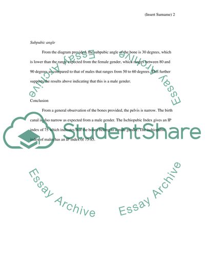 Skeleton Assignment Example | Topics and Well Written Essays - 250 words