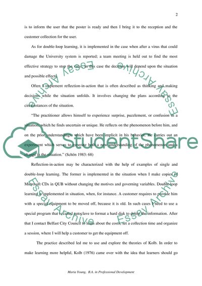 Professional Development as IT Technician