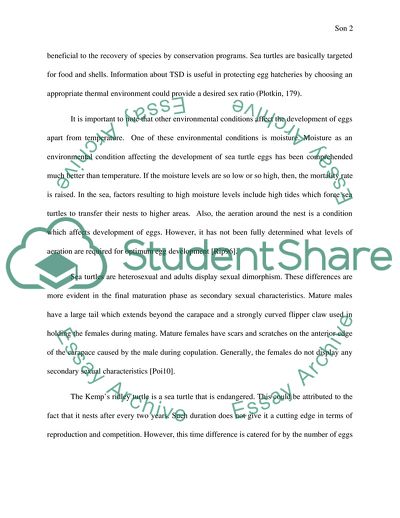 Histology of the Sea Turtle