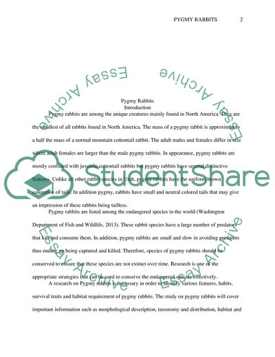 Pygmy Rabbits - Species Features