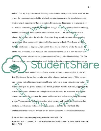 Life and Death of the Salt Marsh