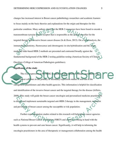 Determining HER2 Expression and HER2 Glycosylation Changes