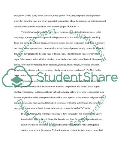 Stages of Yellow Fever and How to Prevent It