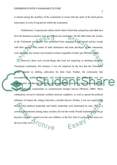 Essay about two different cultures image